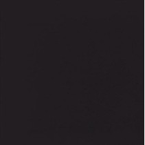 Casalgrande Padana Unicolore Technic Levigato Nero 8,5